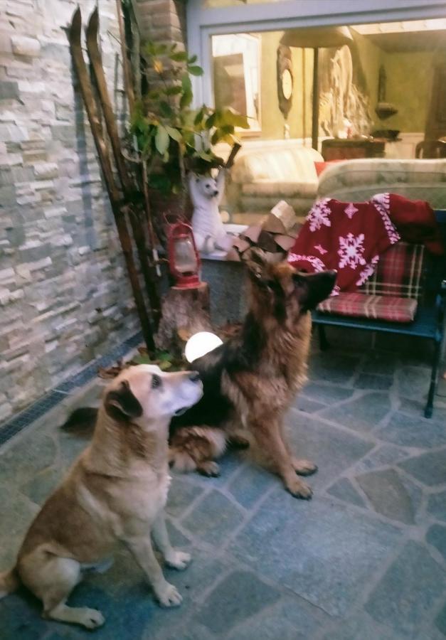 B&B Casa Dell'Orso Lurisia Buitenkant foto