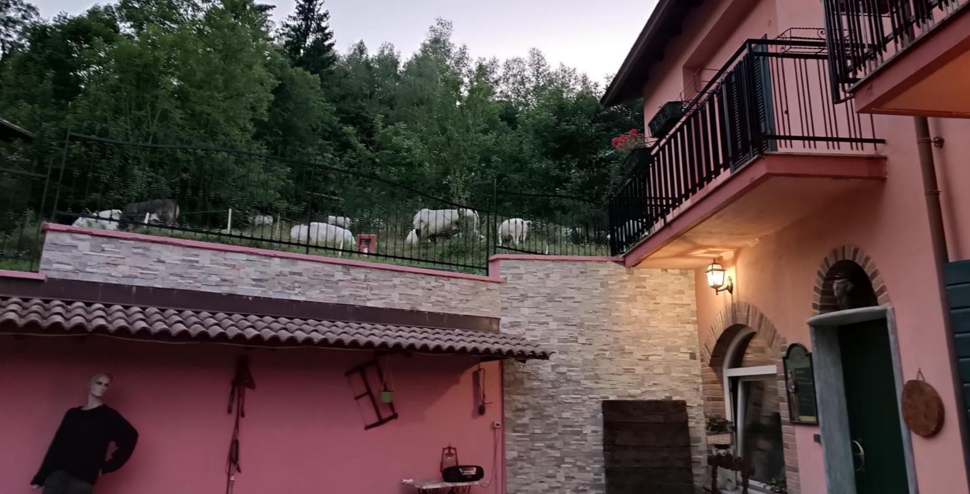 B&B Casa Dell'Orso Lurisia Buitenkant foto